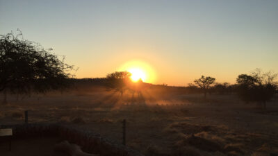 Nach der Zweifelquelle zum Etosha